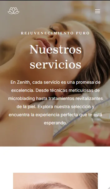Zenith-Mobile